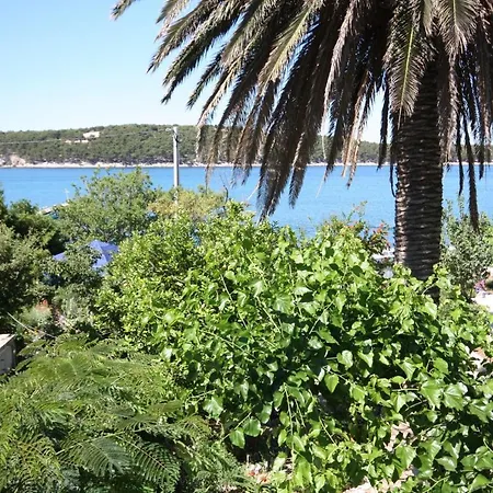 Apartments By The Sea Barbat, Rab - 4978 Apartment *