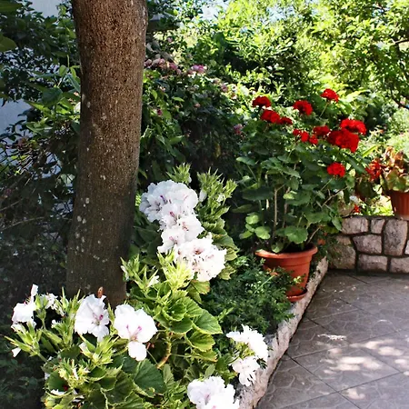 By The Sea Barbat, Rab - 4978 Appartement